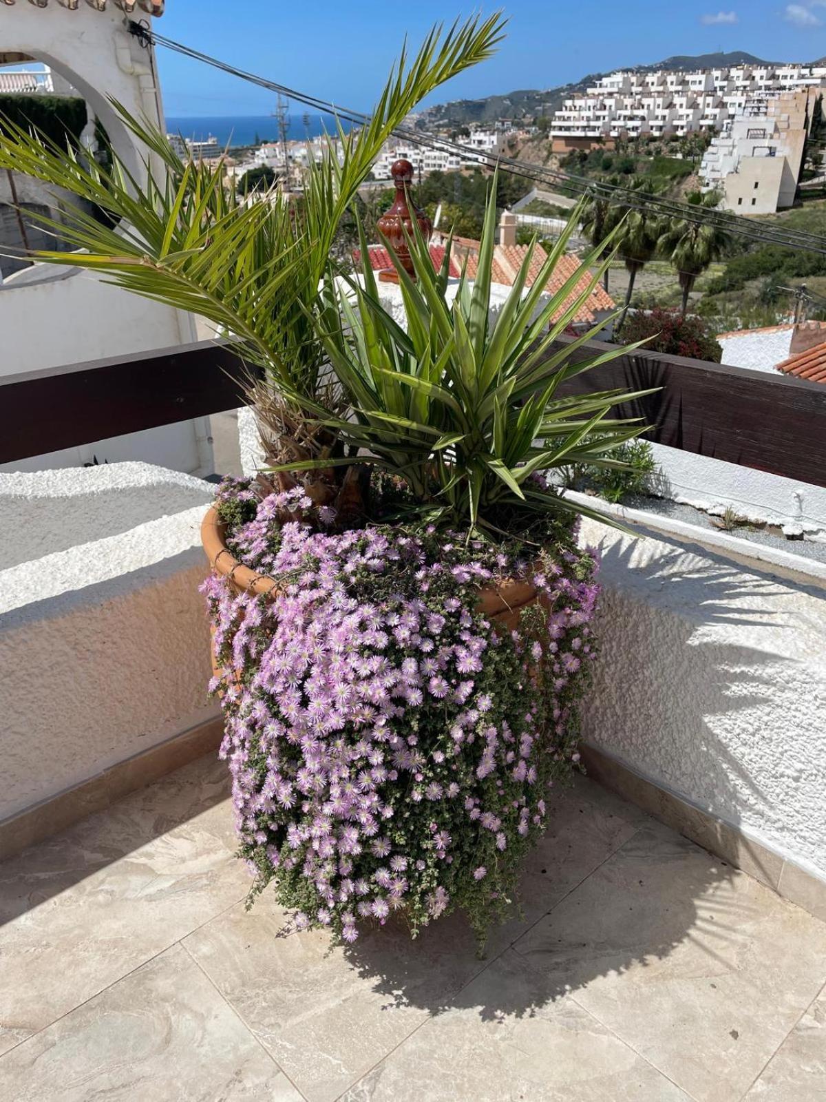 Villa Naricha 1 Menyber Nerja Esterno foto